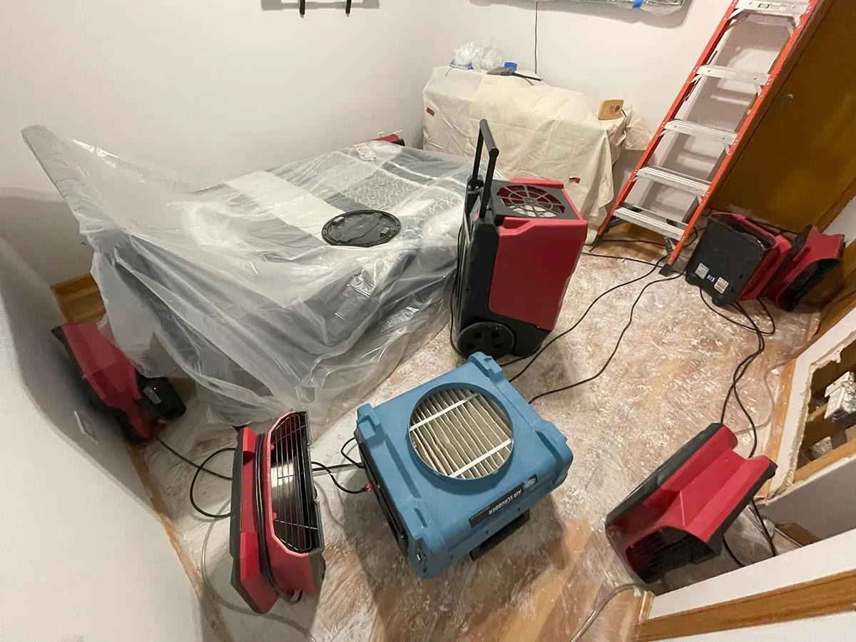 Mold remediation
